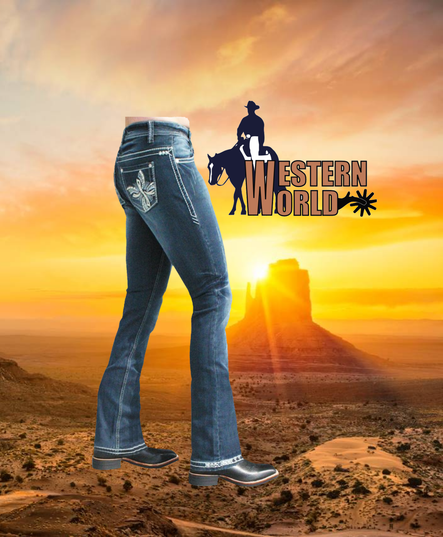 ladies Jeans Celine dunkel – Western World