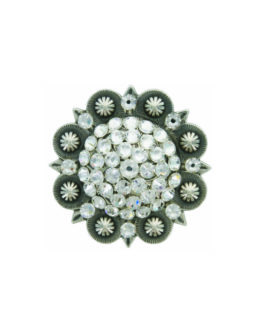 Rhinestone Conchos